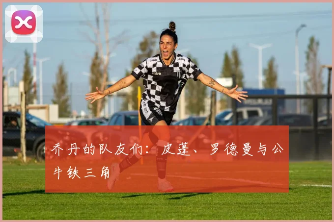 乔丹的队友们：皮蓬、罗德曼与公牛铁三角