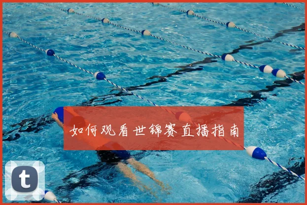 篮球明星经典对决:回顾那些载入史册的比赛